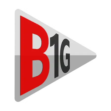 Capture officielle du serveur revendeur B1G Panel IPTV