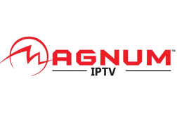 Capture officielle du serveur revendeur MAGNUM OTT IPTV